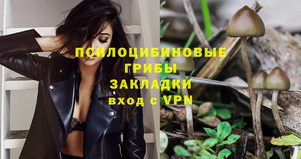 прущие грибы Алексин