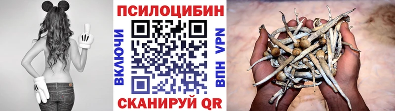 Галлюциногенные грибы ЛСД  Заволжск 